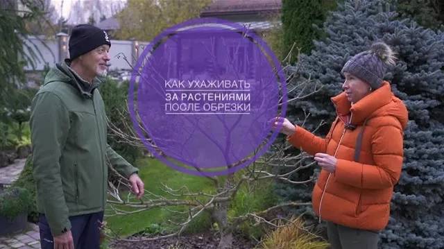 КАК УХАЖИВАТЬ ЗА РАСТЕНИЯМИ ПОСЛЕ ОБРЕЗКИ смотреть онлайн