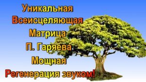 Уникальная Всеисцеляющая Матрица П. Гаряева/ Мощная Регенерация  и исцеление Всего Организма/