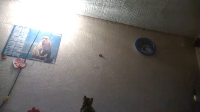 Хахаоляля смотреть онлайн