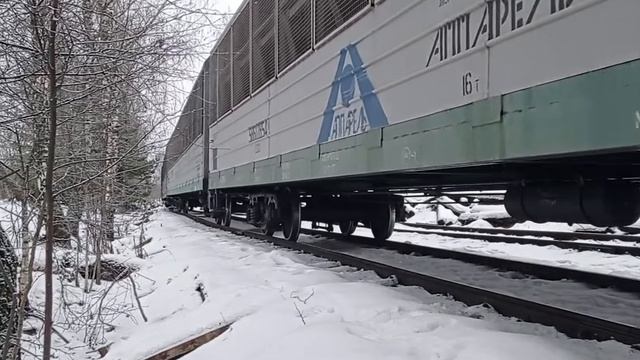 маневровая работа тепловозов ТГМ6А-2166 и ТГМ4-0762 Чеховское ппжт смотреть онлайн