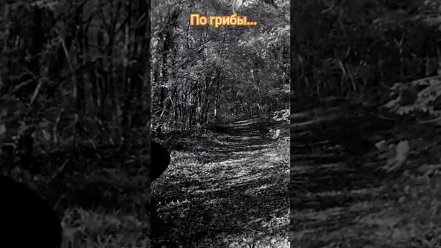 Юмор ролик смотрите на канале. #приколы #юмор смотреть онлайн