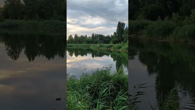 Красиво ❤️ смотреть онлайн