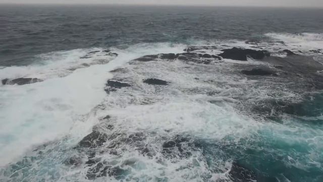 логистические услуги, услуги перевозки одесса смотреть онлайн