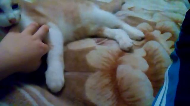 Хочу кушать! смотреть онлайн