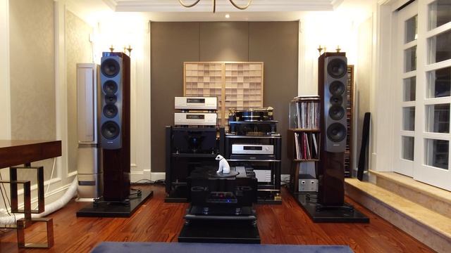 DYNAUDIO C50 смотреть онлайн