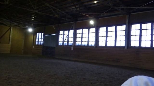 Наша первая рысевая манежная езда :-) смотреть онлайн