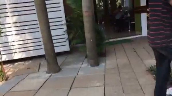 Отель в Гоа Turtle beach resort