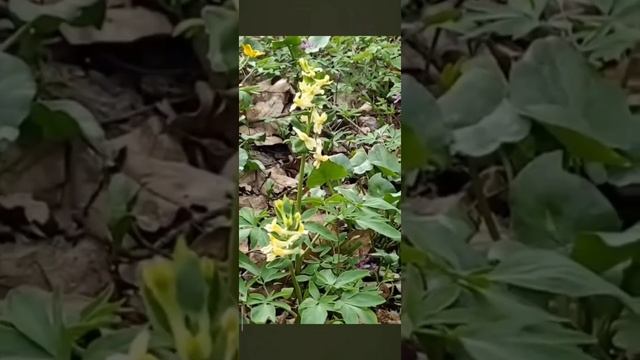 А в душе весна...❤️ смотреть онлайн