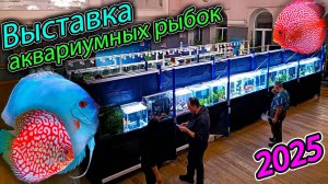 Выставка аквариумных рыбок 2025 [ГОТОВНОСТЬ 99%]