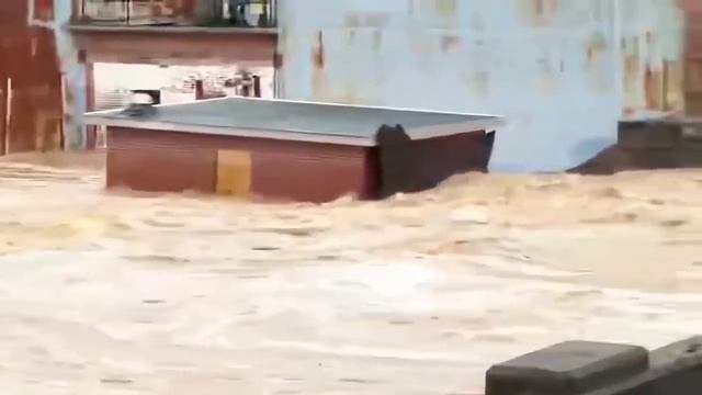 25 MOMENTS OF PERFECT TIMING CAUGHT ON LIVE TV ! смотреть онлайн