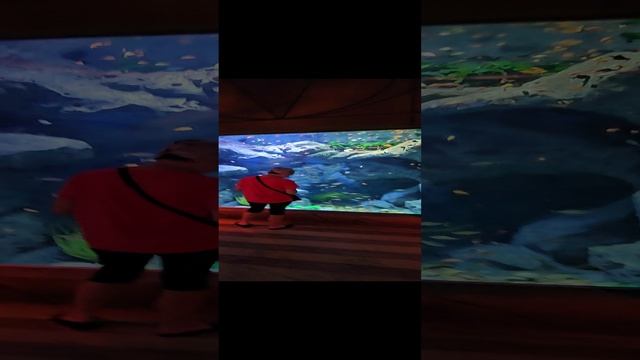 Океанариум о.Фукуок смотреть онлайн