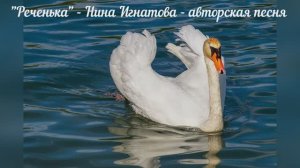 "Реченька"  -  авторская песня -  Нина Игнатова