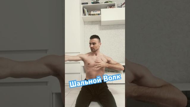 Шальной Волк. Нет времени. Тренировки дома. Лето близко. Вы не готовы. В погоне за массой. Цель есть