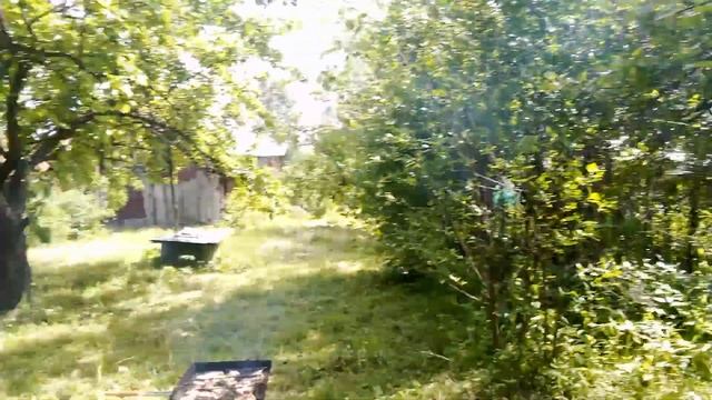 Первый шашлык в моем саду в этом году. УРА!!! смотреть онлайн