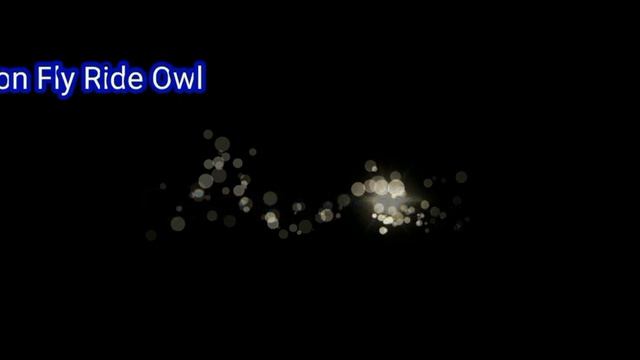 Neon Fly Ride Parrot Giveaway!:O (Anouncing The Neon Owl And Fly Ride Shadow Dragon Winner) смотреть онлайн