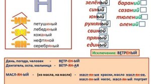 РЯ 6 класс Н и НН в именах прилагательных