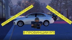 ЗАДЕРЖАНИЕ ПРЕСТУПНИКА В ROBLOX PROVINCE RP! *Нашли НРПшника*