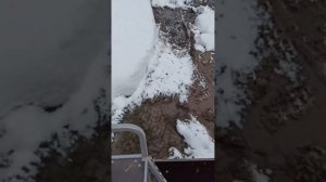 По рыхлому снегу до 90 см с тростником на вездеходе переломке. Начало февраля. Часть 2