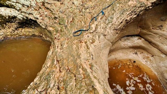 16. Абхазия.Ч.2. Все о Новом Афоне // Abkhazia.P.2. All About New Athos