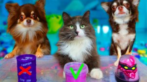 Какой слайм выживет? Один выбор - одна жизнь 😱💀