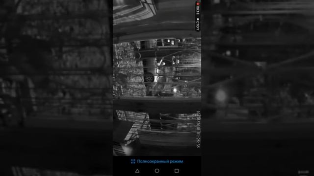 Пситеррор. Гангсталкинг. МК УЛЬТРА. Выпуск 30 смотреть онлайн