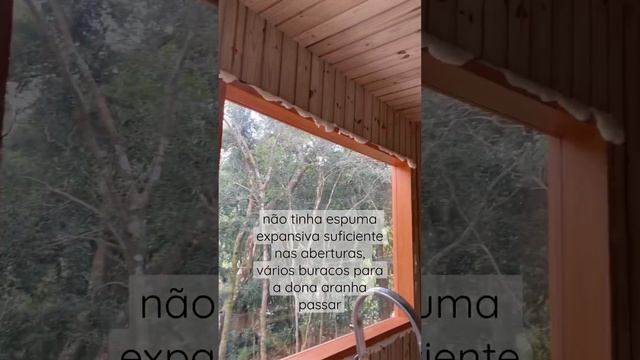 Aberturas - moradia para aranha armadeira смотреть онлайн