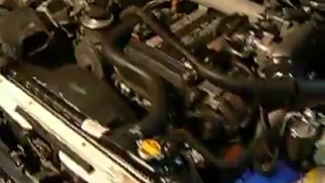 1G-GZE First Start :)