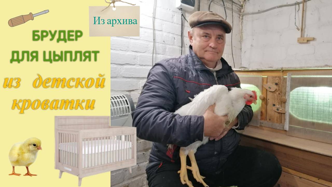 Брудер из детской кроватки