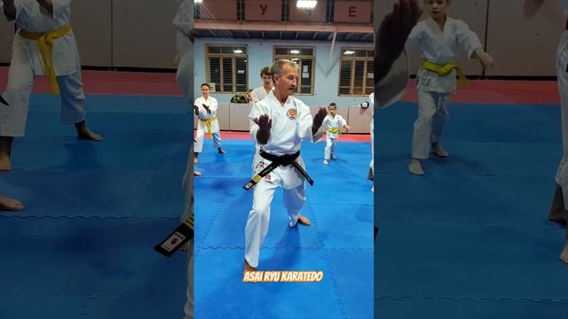 Kihon. Asai Ryu karatedo. #каратэ #asairyu #karate смотреть онлайн
