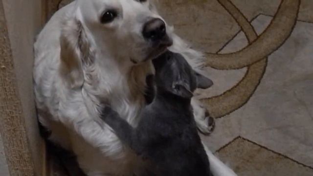 моя большая мамочка смотреть онлайн