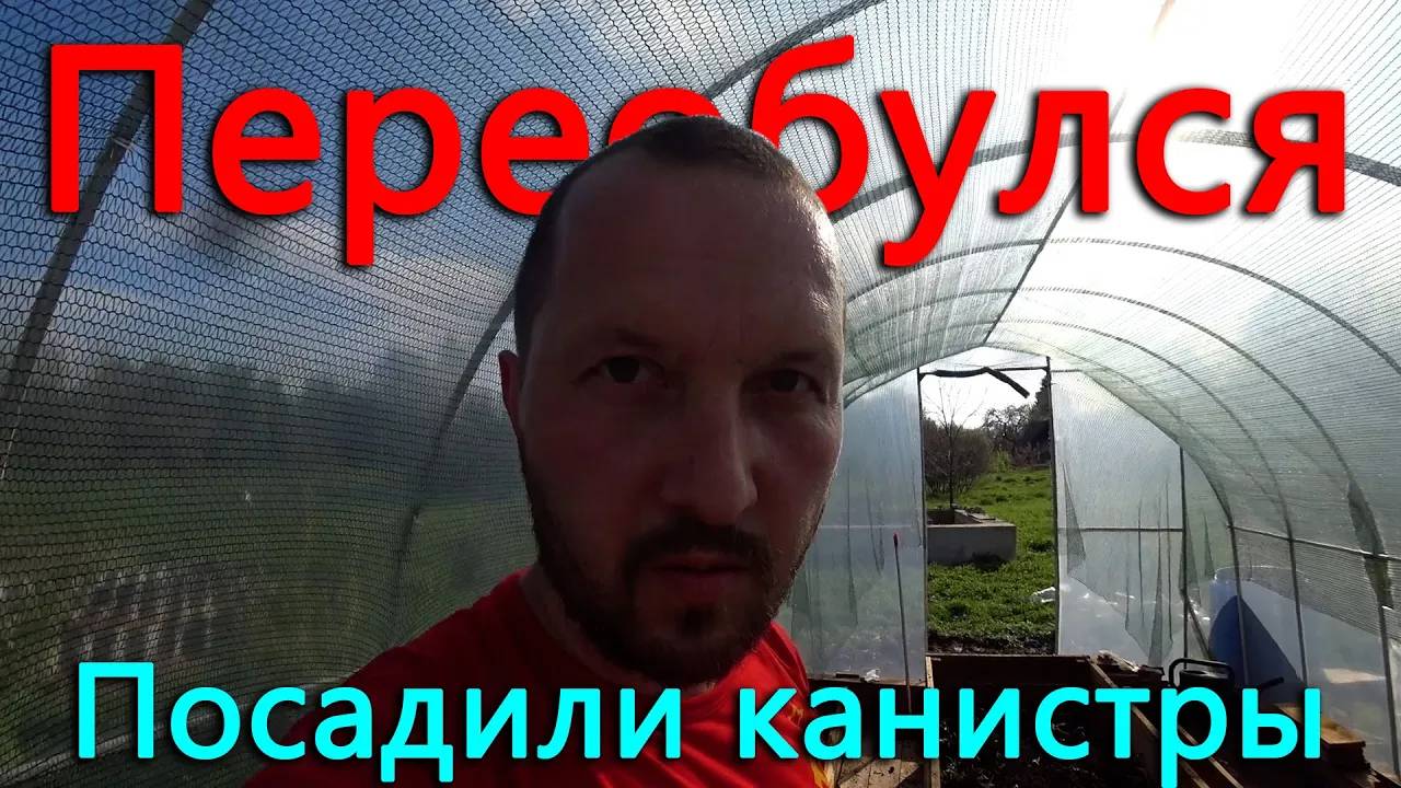 Я все таки переобулся. Курицы отказываются выходить из дома. Первые посадки в утепленную теплицу. смотреть онлайн