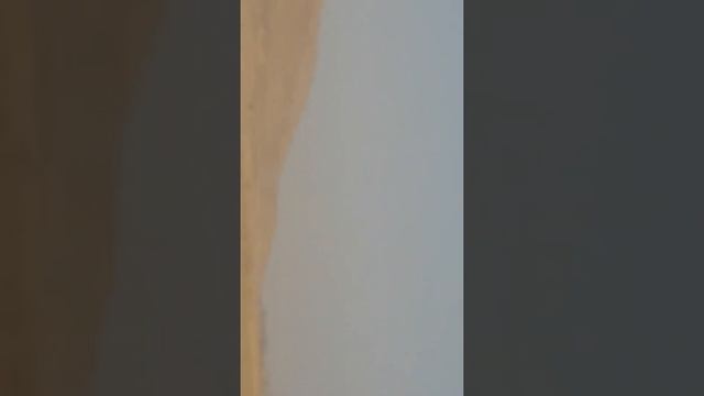 Жамбыл облысы Байзақ ауданы Құмжота ауылында болған байге 1 орын Мақсат Қарағанды смотреть онлайн