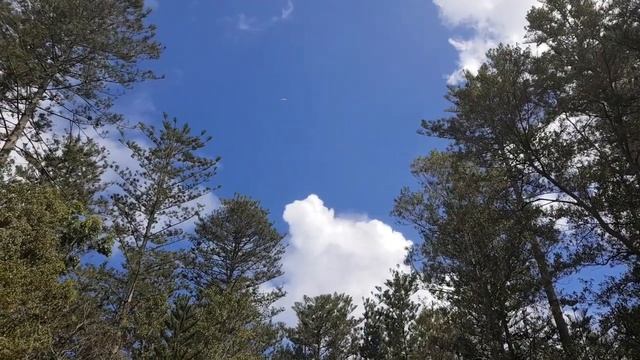 Life Is Strange- REAL Locations!