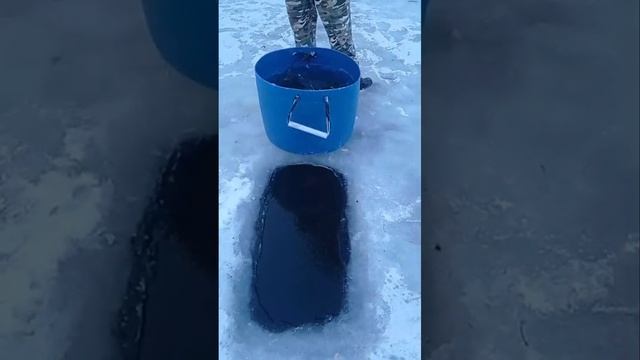запуск форели на путевки смотреть онлайн