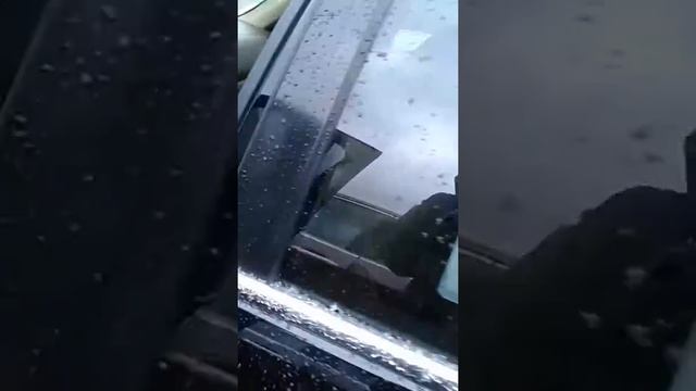 2005 Honda Accord смотреть онлайн