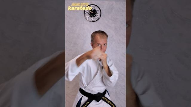 Тренироваться всегда и везде! Asai Ryu karatedo. #karate #каратэ #asairyu смотреть онлайн
