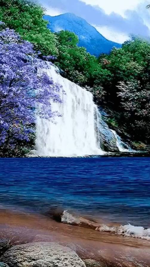 Цените сегодня ... смотреть онлайн