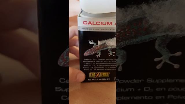 Содержание Эублефара 🦎 смотреть онлайн