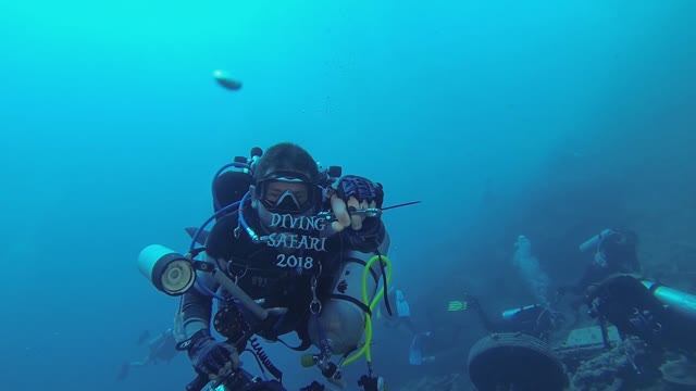 Diving Safari 2018