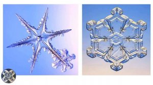 ИЗО 2 класс Украшение и реальность. Снежинки, #waxcrayons, #восковыемелки #рисуемсалексеемникулиным