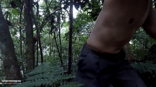 001. Primitive Technology- Foraging For Food смотреть онлайн
