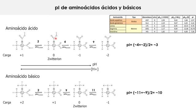 Clase 2b. Propiedades Ácido-Base de los aminoácidos смотреть онлайн