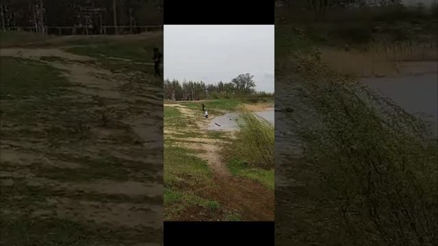 Природа🌿 смотреть онлайн
