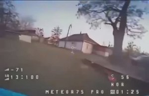 Кот Василий сбивает вражеский беспилотник