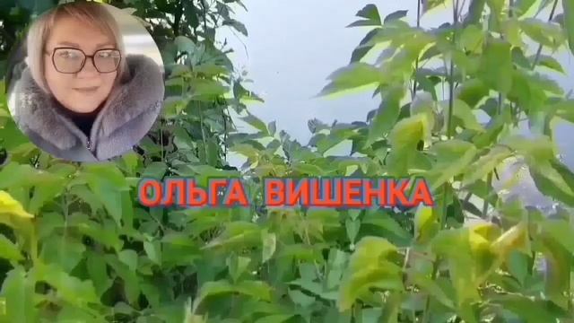 ВСЁ УТРО ПРЁТ ОТ ОМЛЕТА. ПИРАТСКАЯ ЖИЗНЬ. ОБЗОР. смотреть онлайн