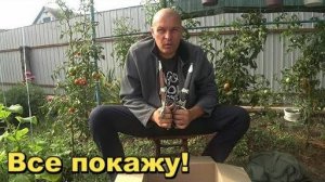 Прислали подписчики свои находки по войне - Распаковка.