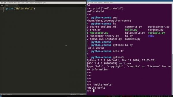 Python 3 Programming Course #3 - Basic Workflow, Shells, Source Code, Interpreters, Errors [1080p]