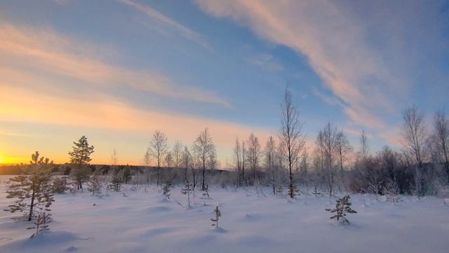 Nature. Karelia. January