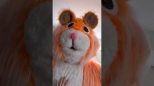 ВЫ ЗНАЕТЕ, ЧТО ЭТО ЗА ХАМСТЕР!?! #алинка