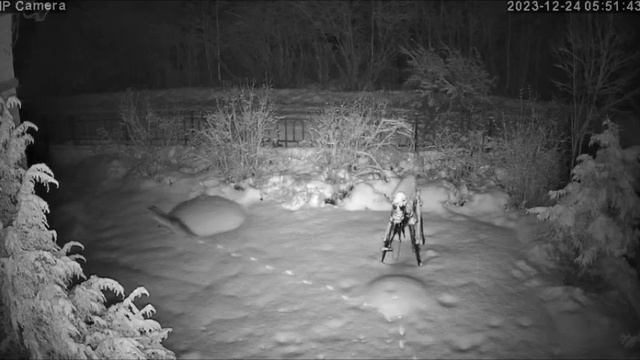 Ночная жизнь на Западной линии.